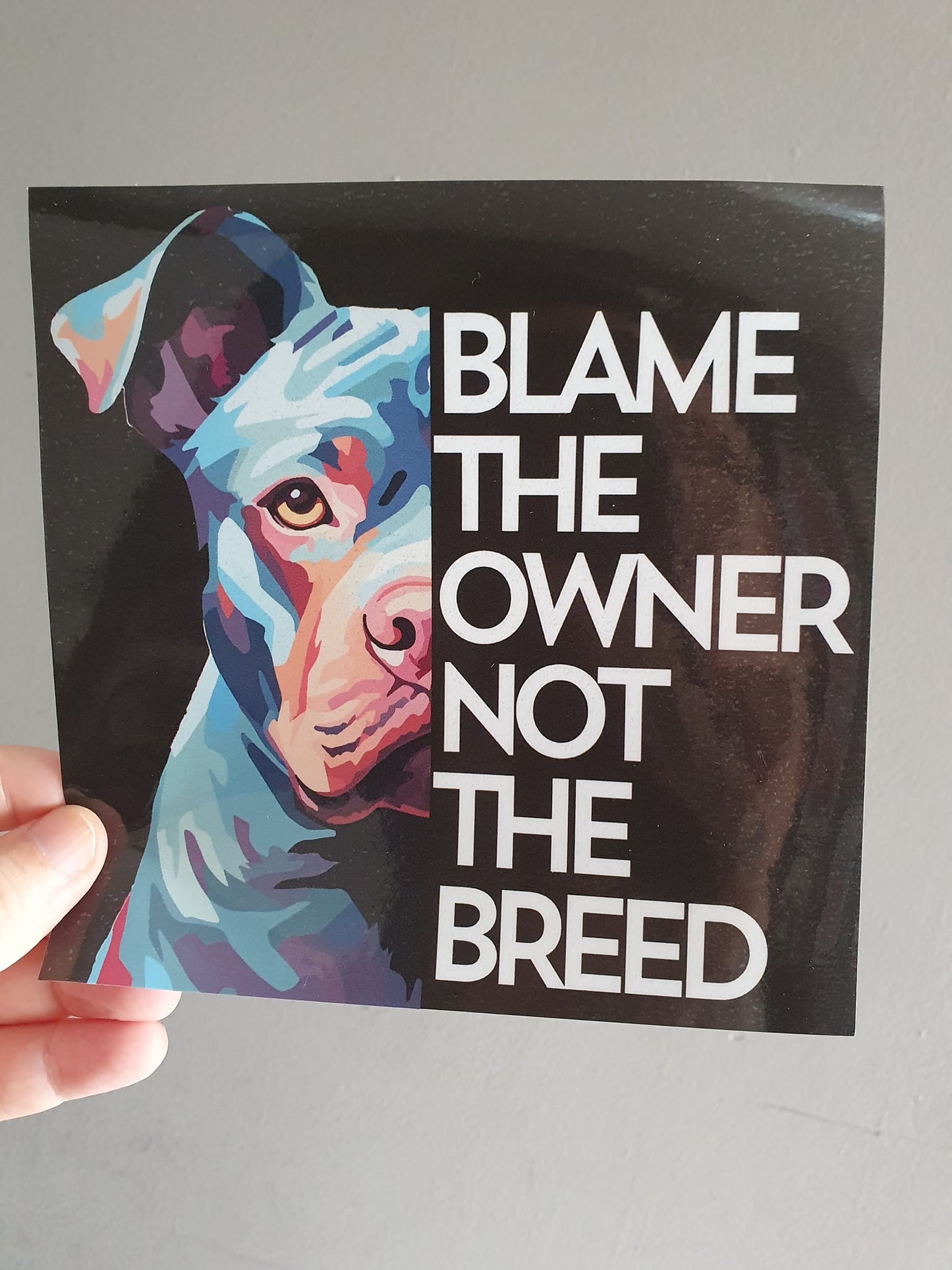 XL Bully Car/Window Sticker