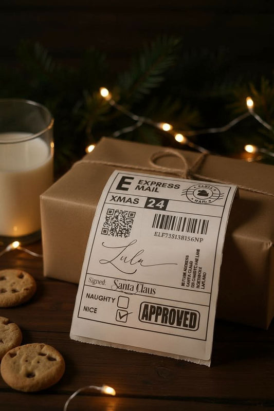 Self Adhesive Santa Postal label